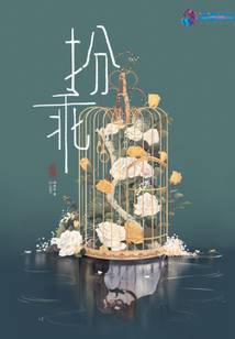 宠妻总裁坏透了完整版