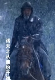 徐来徐依依的小说