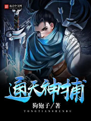 宋画意战少胤小说